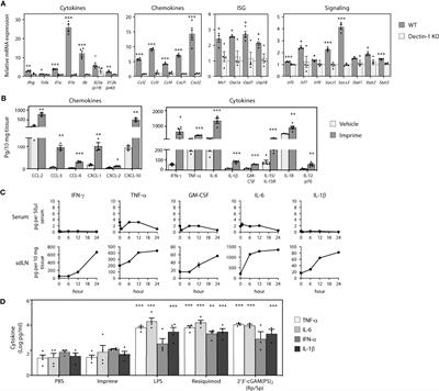 Imprime PGG Enhances Anti-Tumor Effects of Tumor-Targeting, Anti-Angiogenic, and Immune Checkpoint Inhibitor Antibodies